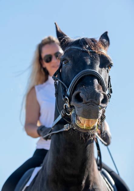 gesicht reiten